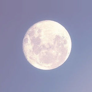 Meet your Posher, Alysha